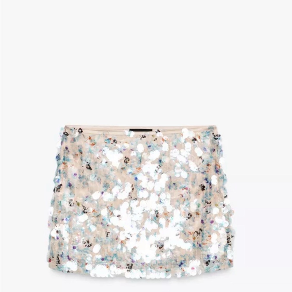 Sequin Embellished Skirt - Silver and Blue